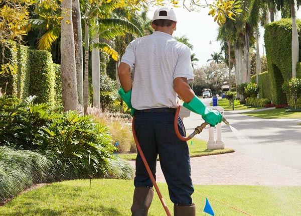 About Atoka TN Pest Control Pros